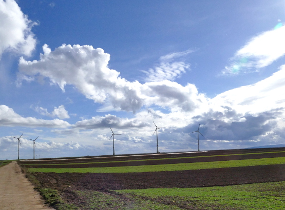 robuste Erosionsschutzfolien für Windkraftanlagen